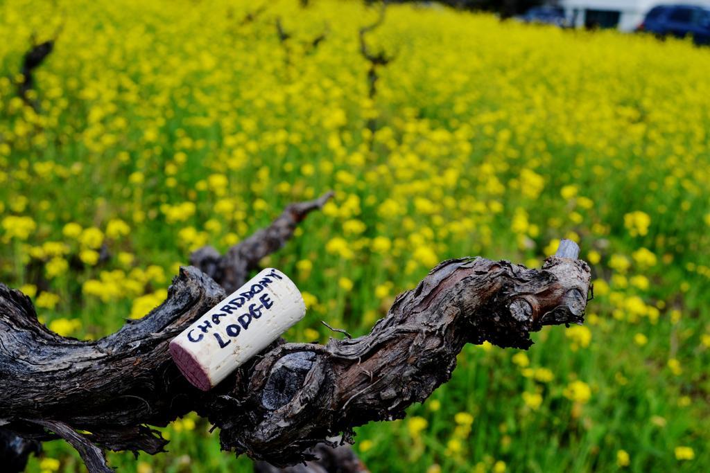 Chardonnay Lodge Νάπα Εξωτερικό φωτογραφία
