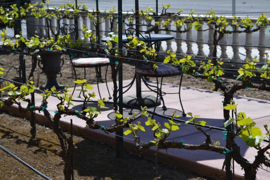 Chardonnay Lodge Νάπα Εξωτερικό φωτογραφία