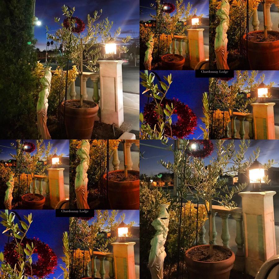 Chardonnay Lodge Νάπα Εξωτερικό φωτογραφία